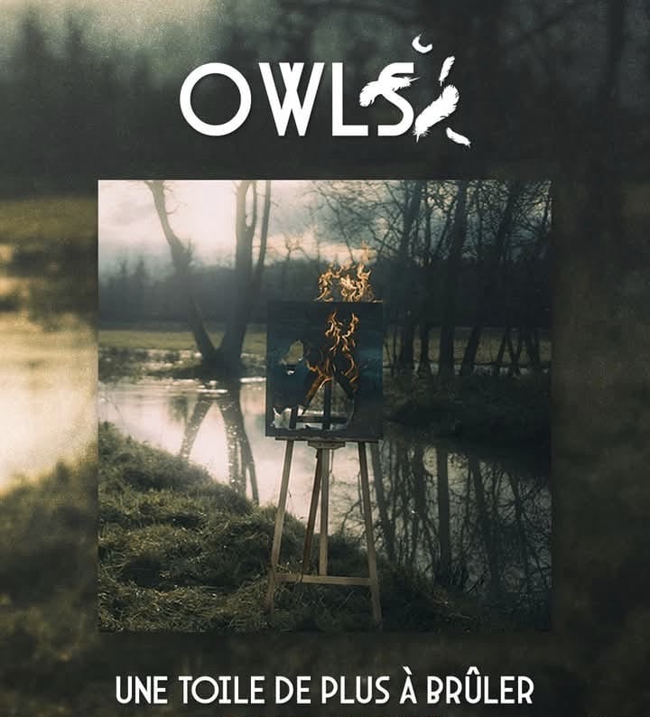 OWLS COVER